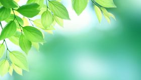 スタッフ登録商品02