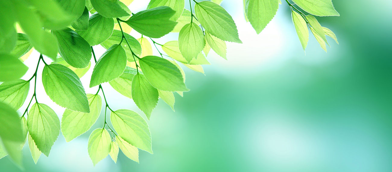 おいしーい お茶